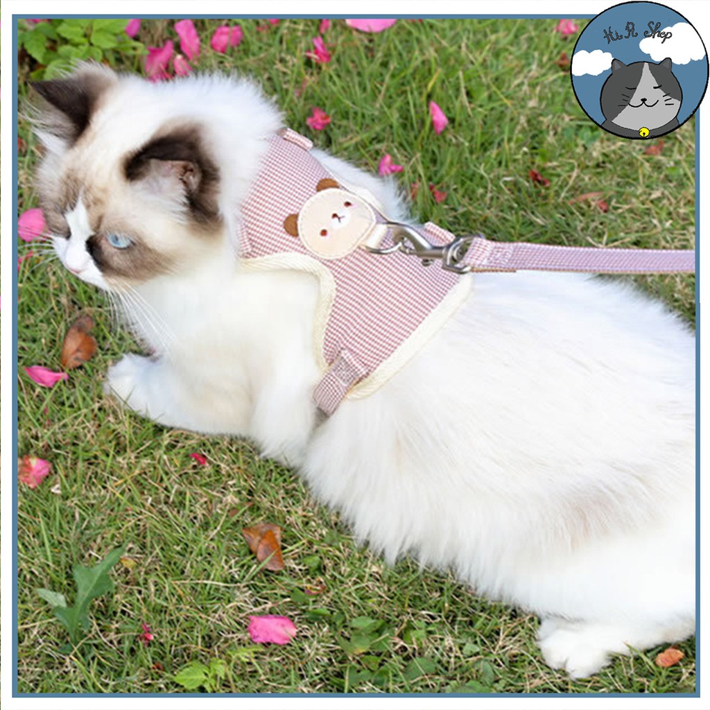 [Rẻ Vô Địch] Dây Dắt Chó Mèo Yếm Lưng Hình Gấu Dây Dẫn Cho Thú Cưng Chất Liệu Cotton Lưới Khoá Kim Loại Cao Cấp