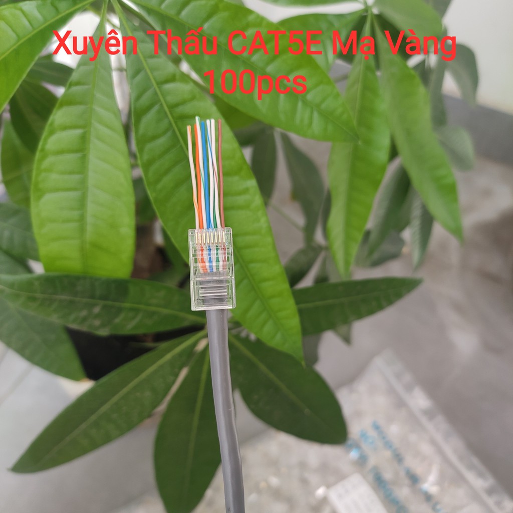 Đầu mạng xuyên thấu rj45 CAT5 / CAT5E - CAT6 Mạ Vàng chân tiếp xúc tốt (Hộp 100 con)