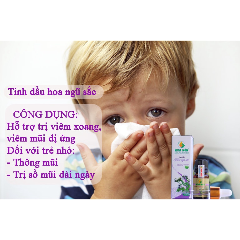 Tinh dầu Hoa Ngũ Sắc 10ml - Hoa Nén - Hỗ trợ cho người Viê m Xo ang, Viê m Mũi dị ứ ng