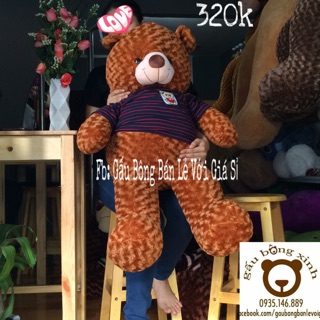Gấu bông Teddy khổ 1m2
