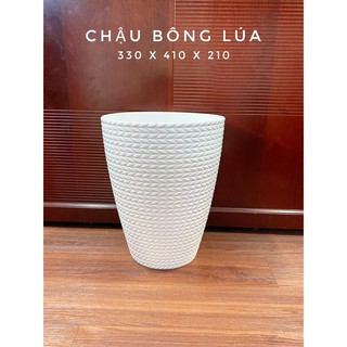 chậu nhựa bông lúa