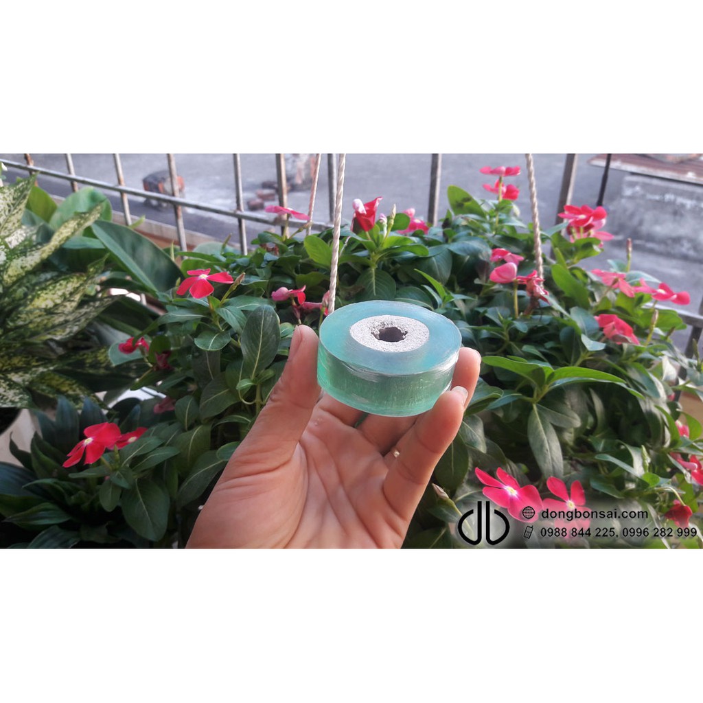 Băng ghép cây 2cm
