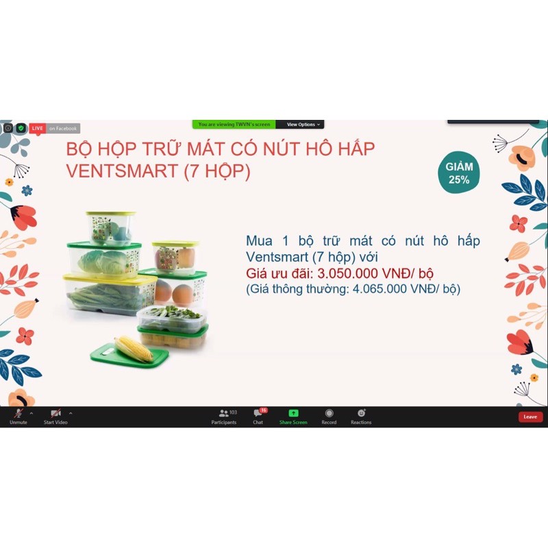 Hộp bảo quản rau củ quả Vensmart 4 / 5 / 7 / 9 Tupperware