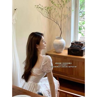 ĐẦM TRẮNG BBD HOA XÔ NƠ LƯNG