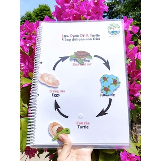 Học liệu bóc dán vòng đời
