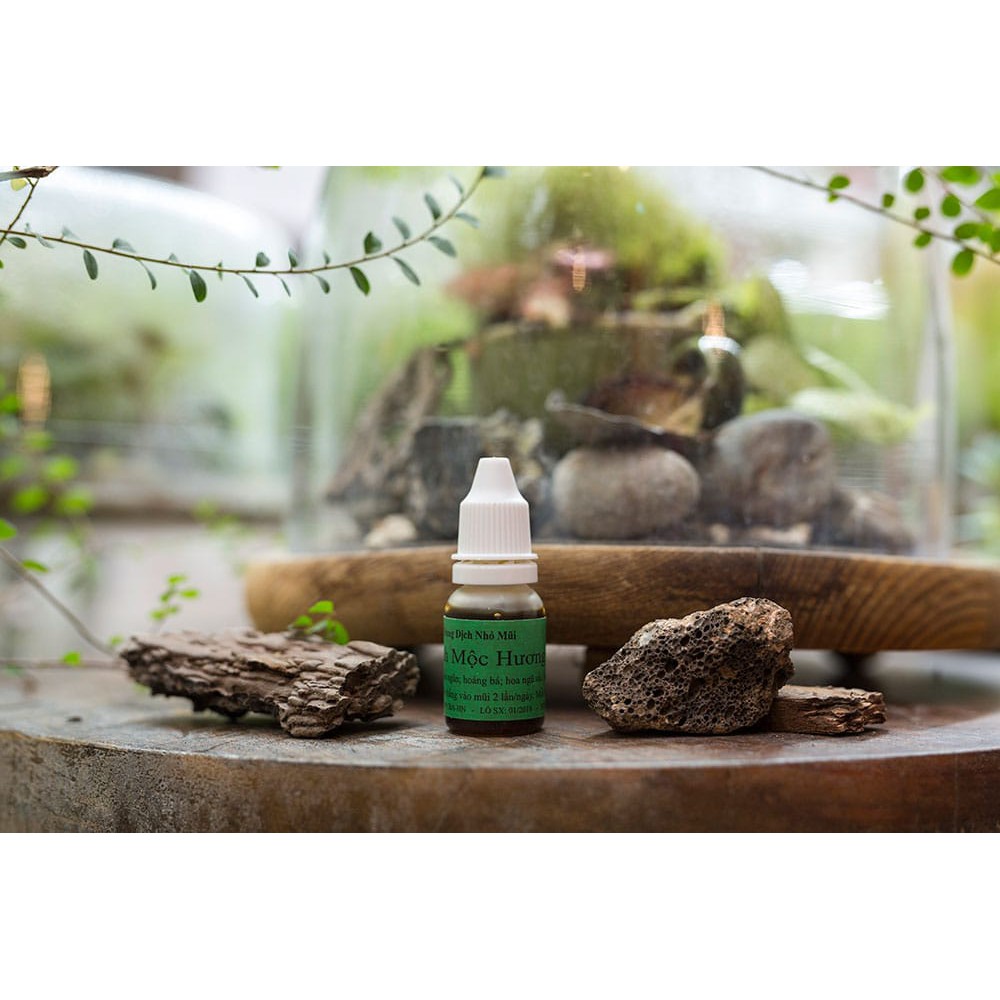 Viêm Xoang Viêm Mũi Thanh Mộc Hương Thảo Dược Tự Nhiên Đông Y Gia Truyền