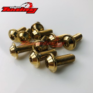 SET 10 ốc đĩa ( 8 ly 2 phân ) màu  GOLD TITAN proti_gr5 hàng nhập Thái Lan  ( HÌNH CHỤP THỰC TẾ )