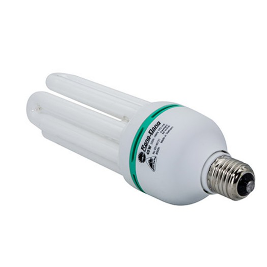Bóng đèn Huỳnh quang Compact CFL 4UT5 40W H8 E27 Rạng Đông - Hàng Chính Hãng