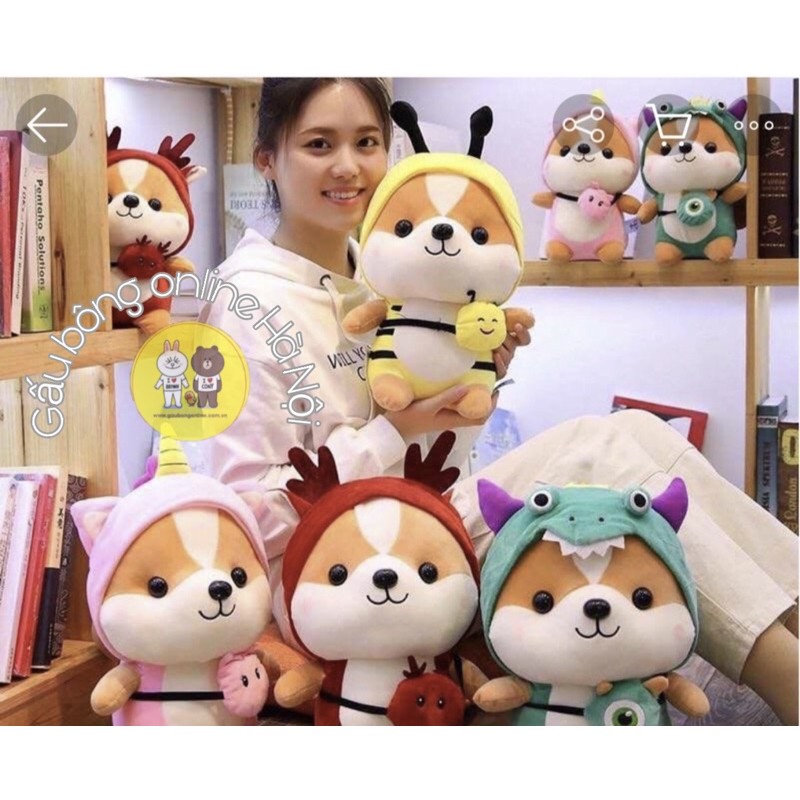 Gấu bông chó Shiba cosplay kích thước 25cm Xưởng gấu bông Việt Nam