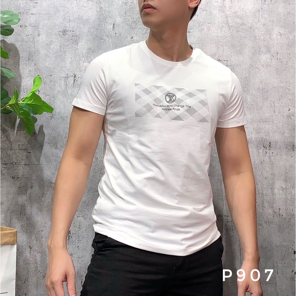 Áo thun nam cổ tròn ngắn tay bigsize áo phông thời trang cao cấp APNH - 29 - P907