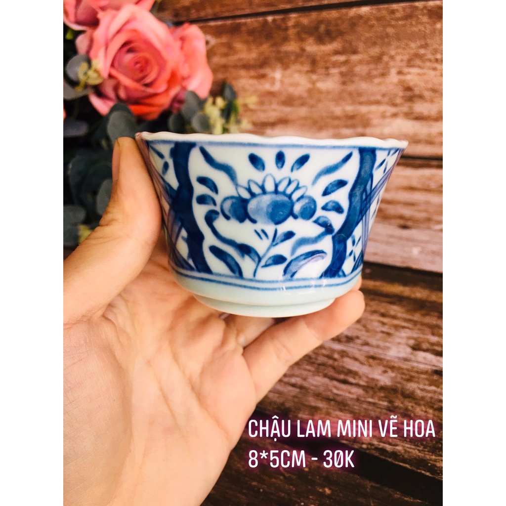 GỐM NHẬT - CHẬU MINI DỄ THƯƠNG/ CHẬU NHỎ TRỒNG SEN ĐÁ