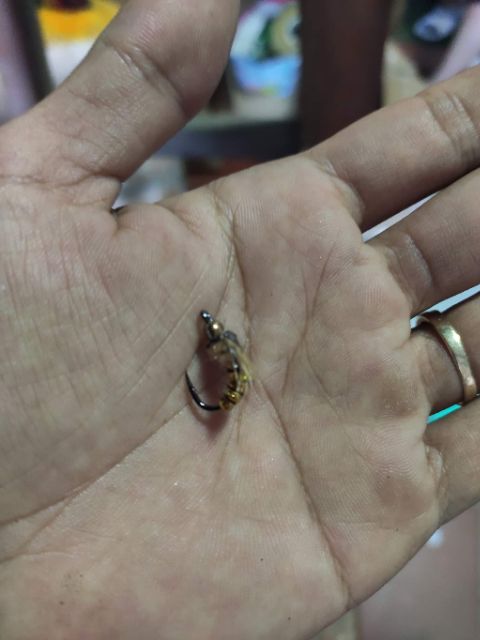 Mồi giả côn trùng