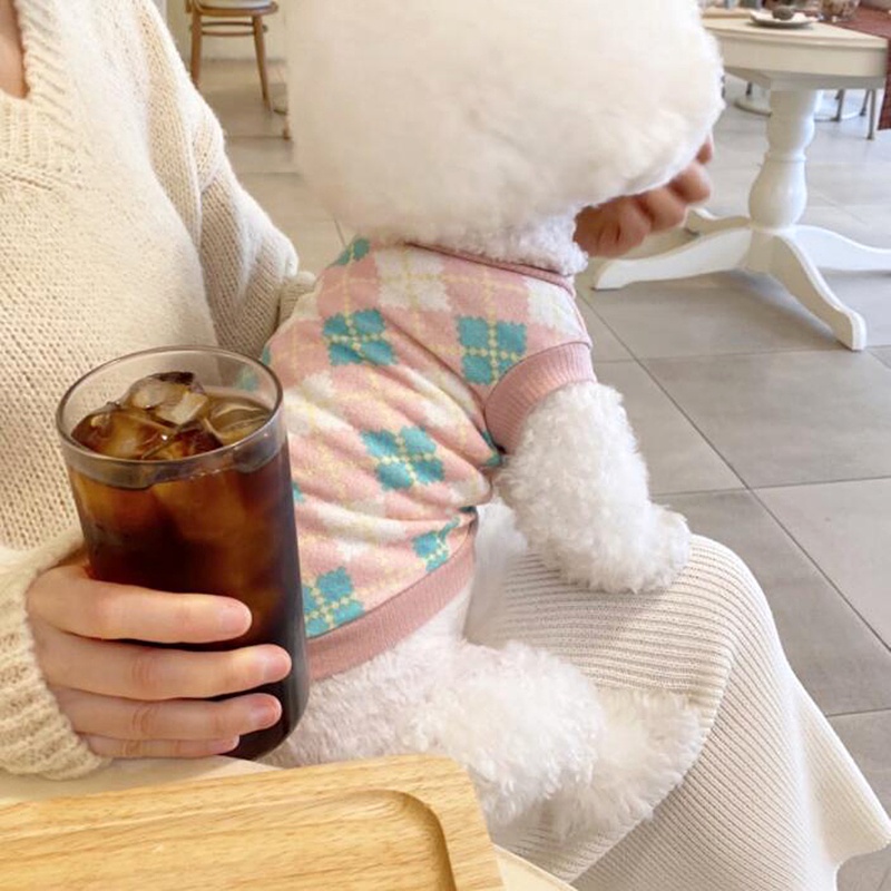 Áo len họa tiết quả trám màu tươi dành cho thú cưng