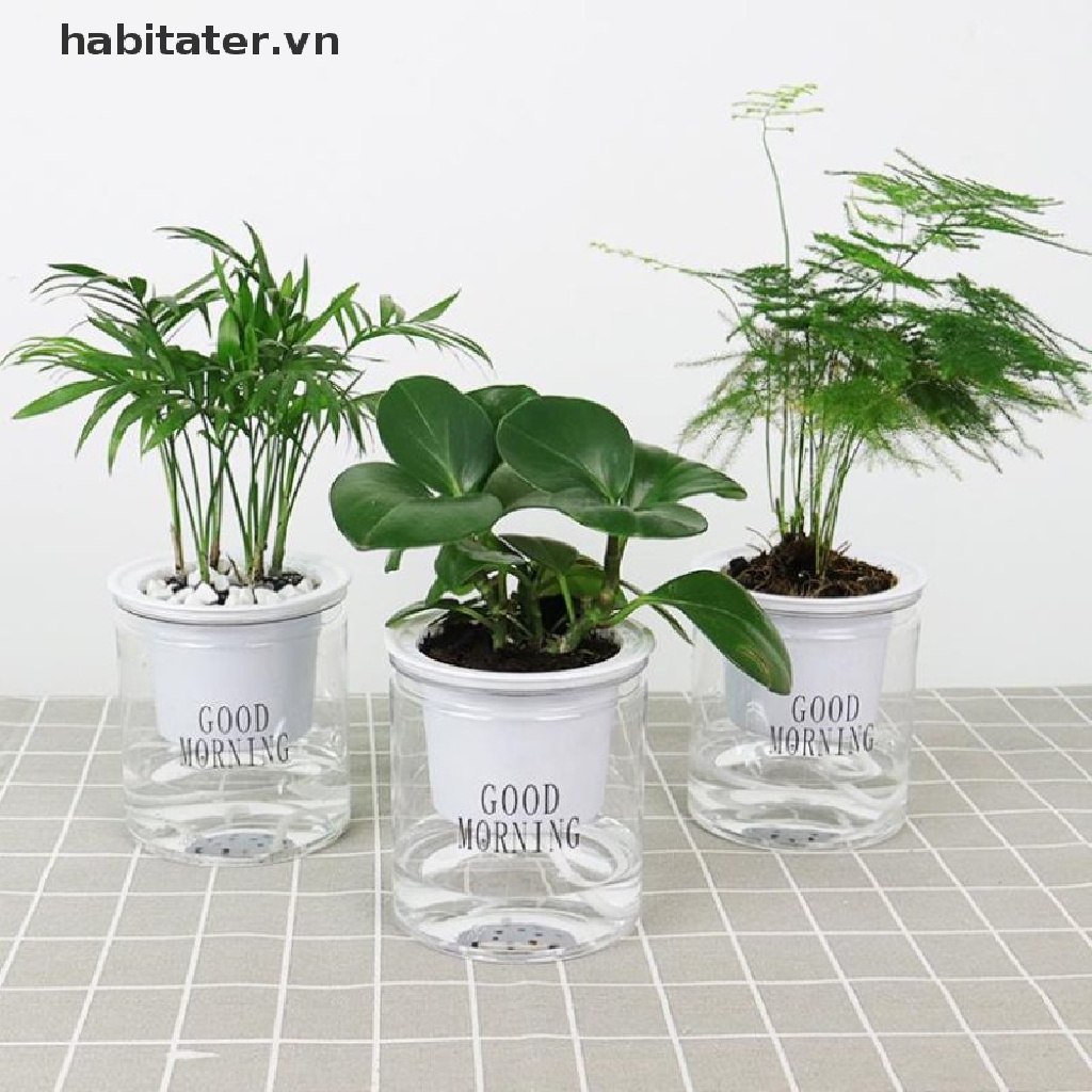Chậu Hoa Thủy Canh Hấp Thụ Nước Tự Động Hình Tròn