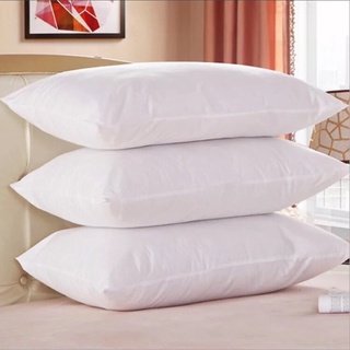 Ruột gối 2 chiếc gối bông hạt cao cấp 100% bông trắng