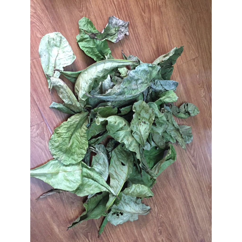[PHƠI NẮNG TỰ NHIÊN - 100g 50 lá] 100g lá bàng khô giành cho bể cá cảnh: la hán, cá rồng, cá đĩa..