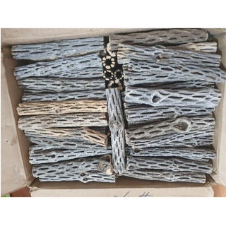 Lũa cholla bổ dung dưỡng chất cho bể tép, trang trí bể cá