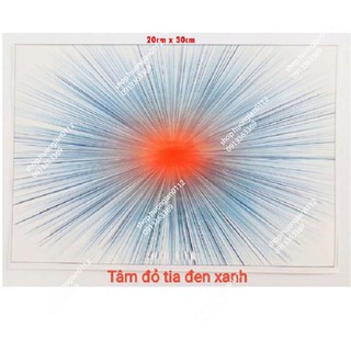 Decal dán biển số xe máy giá 1 chiếc