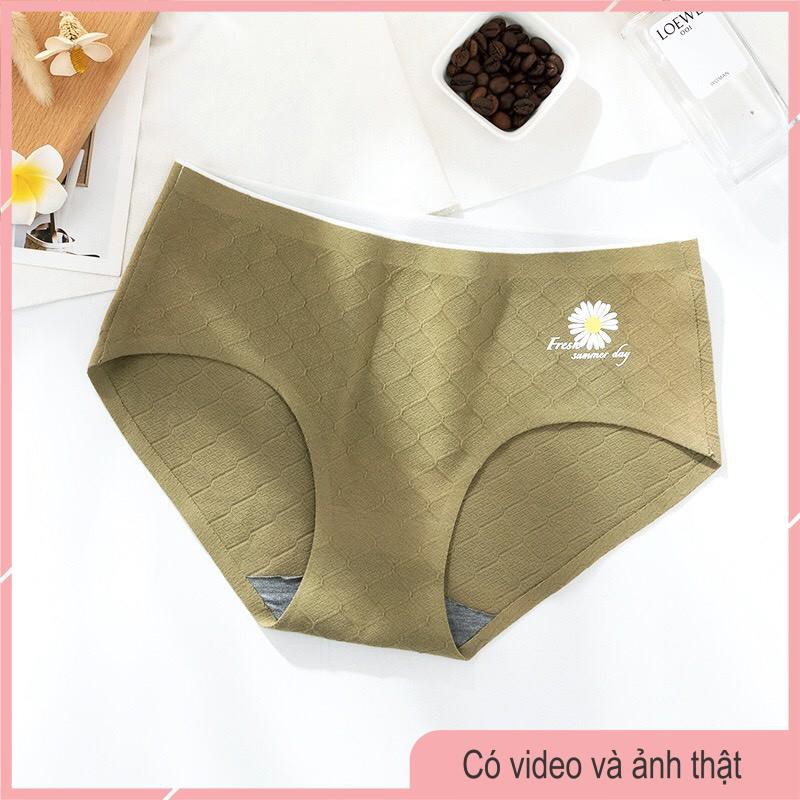 Quần Lót Cotton Thông Hơi Khàng Khuẩn, Không Đường May, Họa TIết Cúc Daisy Hot Trend 2020 -19 | BigBuy360 - bigbuy360.vn