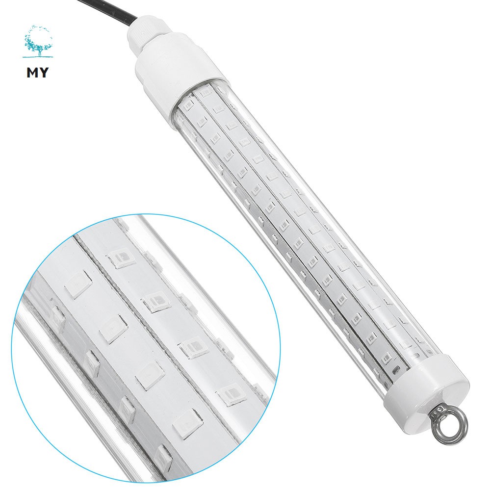 Đèn Led Câu Cá 10w 12v