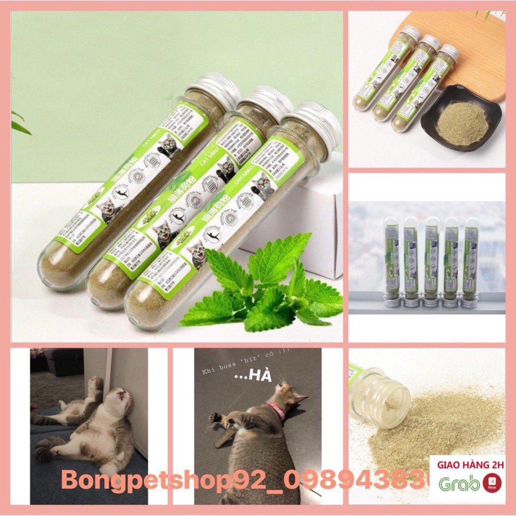 Thức Ăn Cho Mèo, Cỏ Cho Mèo, Catnip