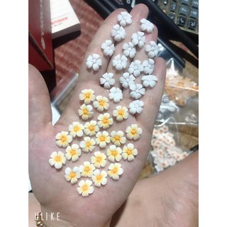 hoa nail- hoa bột - hoa sứ