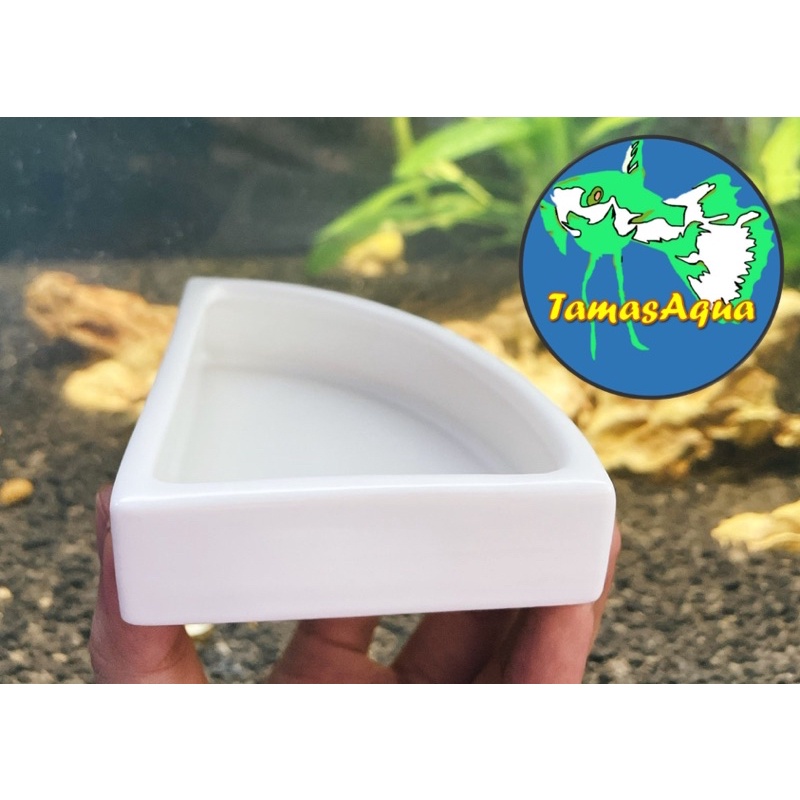 Chén ăn, bát ăn sứ trắng cho hồ cá, hồ tép và bò sát betta guppy