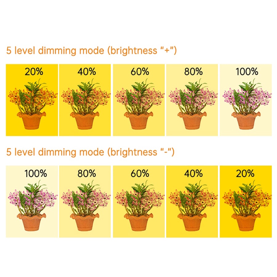 Đèn LED Trồng Cây Trong Nhà Hình Tròn 5V USB Toàn Diện