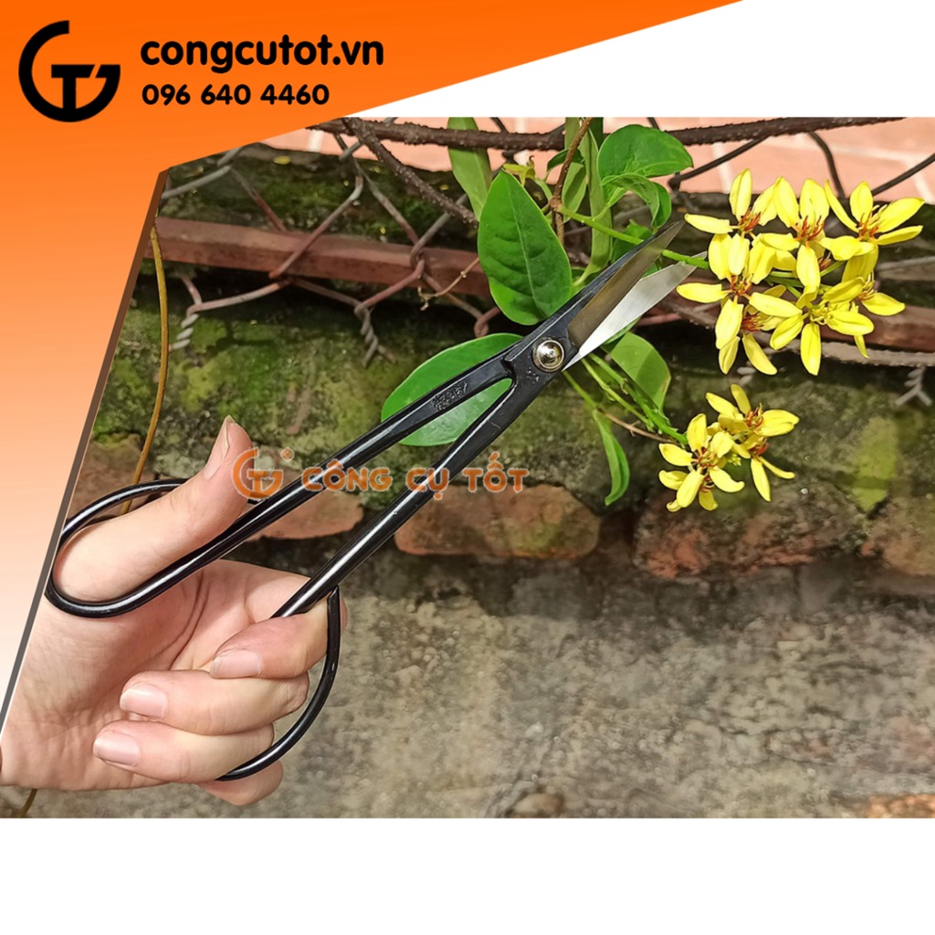 Kéo tỉa chi dăm bon sai Wakasaya