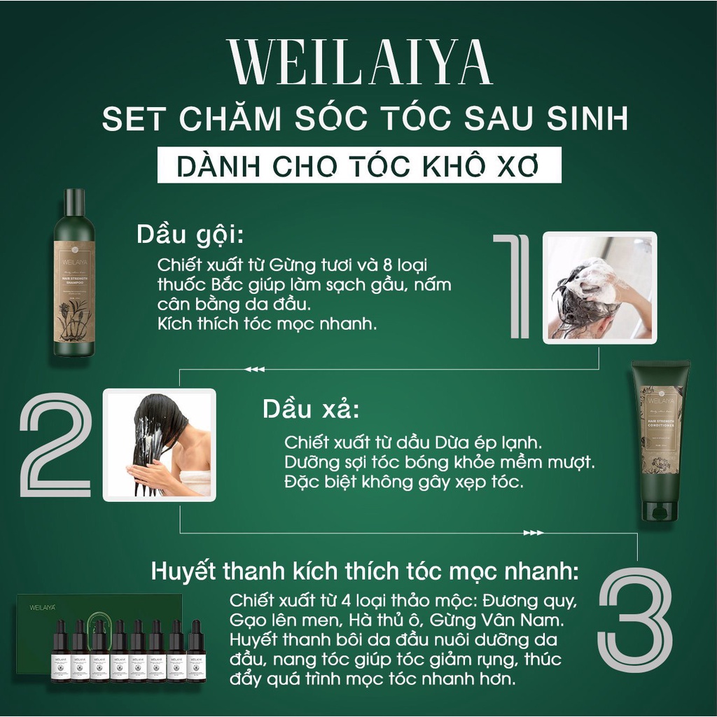 Dầu Gội Mọc Tóc Weilaiya Chính Hãng Hoka Store Dầu Gội Gừng Giảm Rụng Tóc Và Giúp Mọc Tóc 400ml