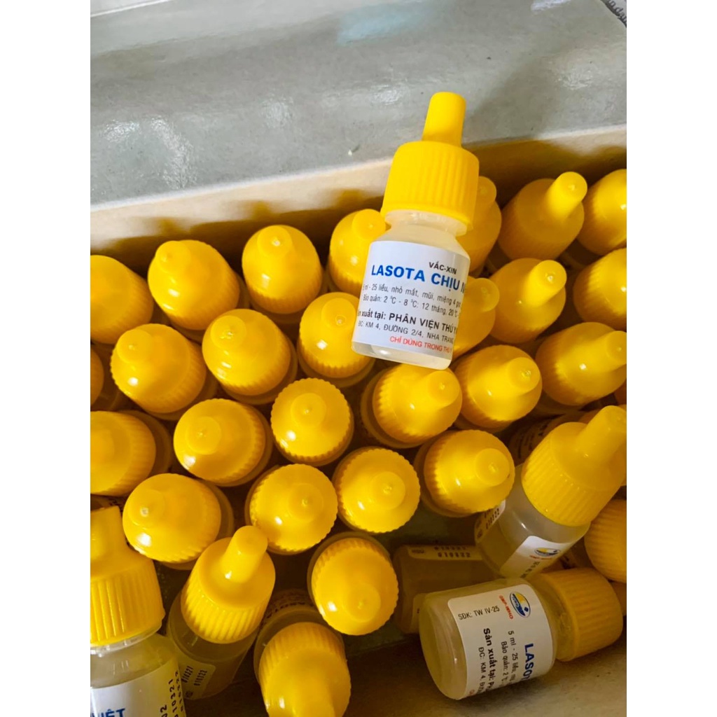 [ Hàng Chính Hãng] VACIN LASOTA CHỊU NHIỆT loại 5ml 25 liều (vacin dịch tả gà)