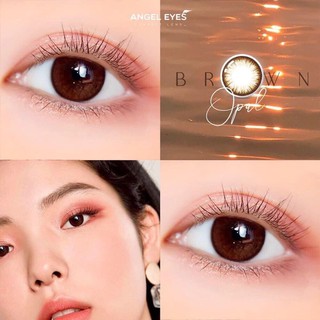Kính áp tròng màu nâu tự nhiên - lens silicone hydrogel 24h 300k - opal brown - lens hàn quốc chính hãng