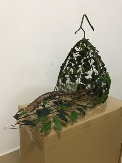Lụp, lồng bẫy cu gáy