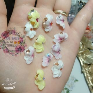 Set 30b hoa bột nail