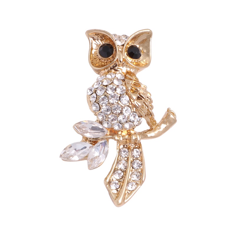 Ghim CàI ÁO HìNh Chú Cú ĐíNh Kim Cương Giả ThờI Trang Cho Nam Nữ