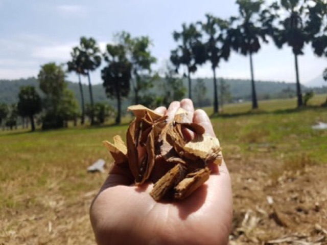 Đường thốt nốt ngon sạch nhà làm 1kg
