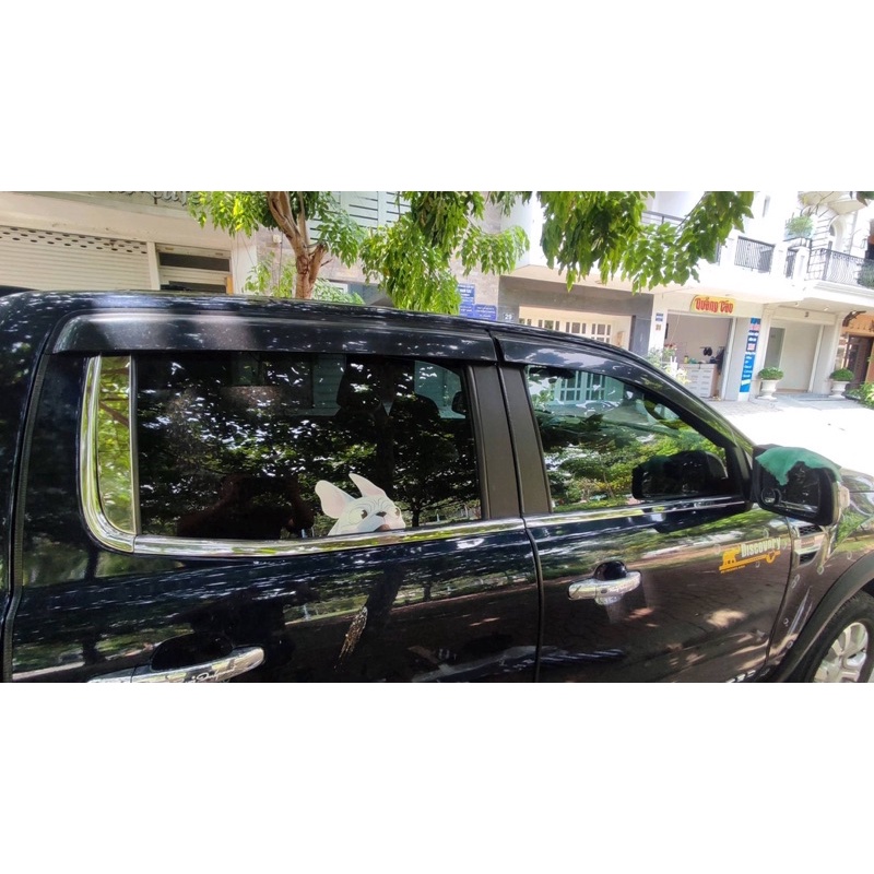 Chân kính Ford Ranger