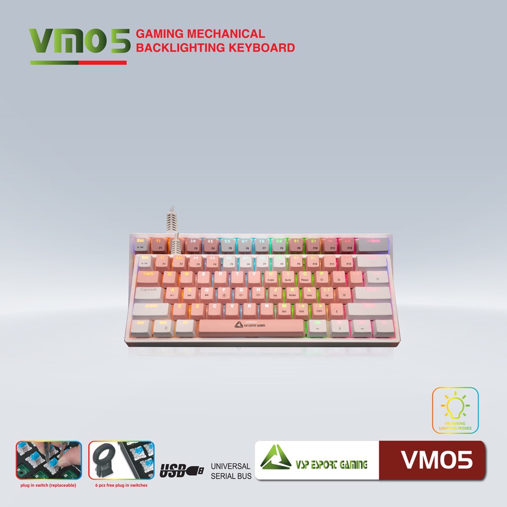 Bàn phím Cơ Gaming Mini VSP Esport VM05 - 9 chế độ Led, 61 Keys - Nhất Tín Computer