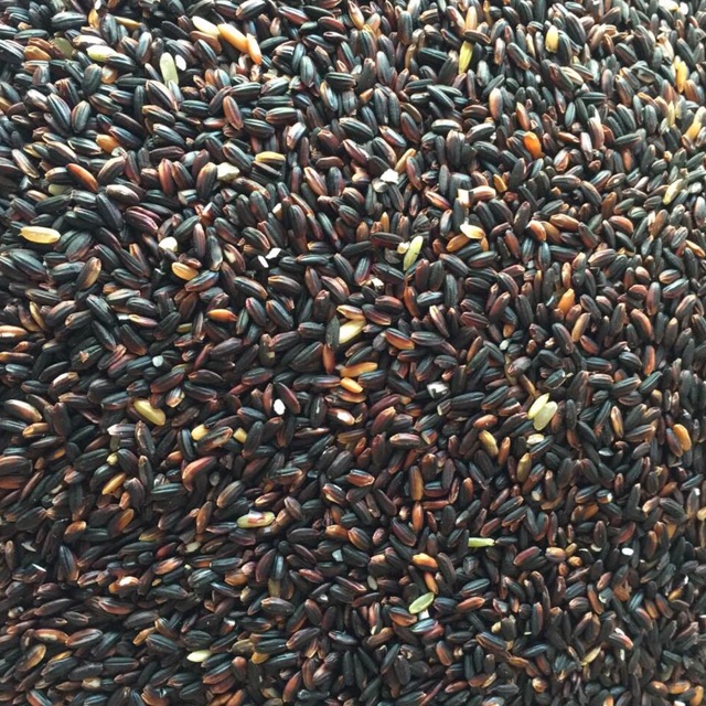 Gạo nếp cẩm Điện Biên 1kg