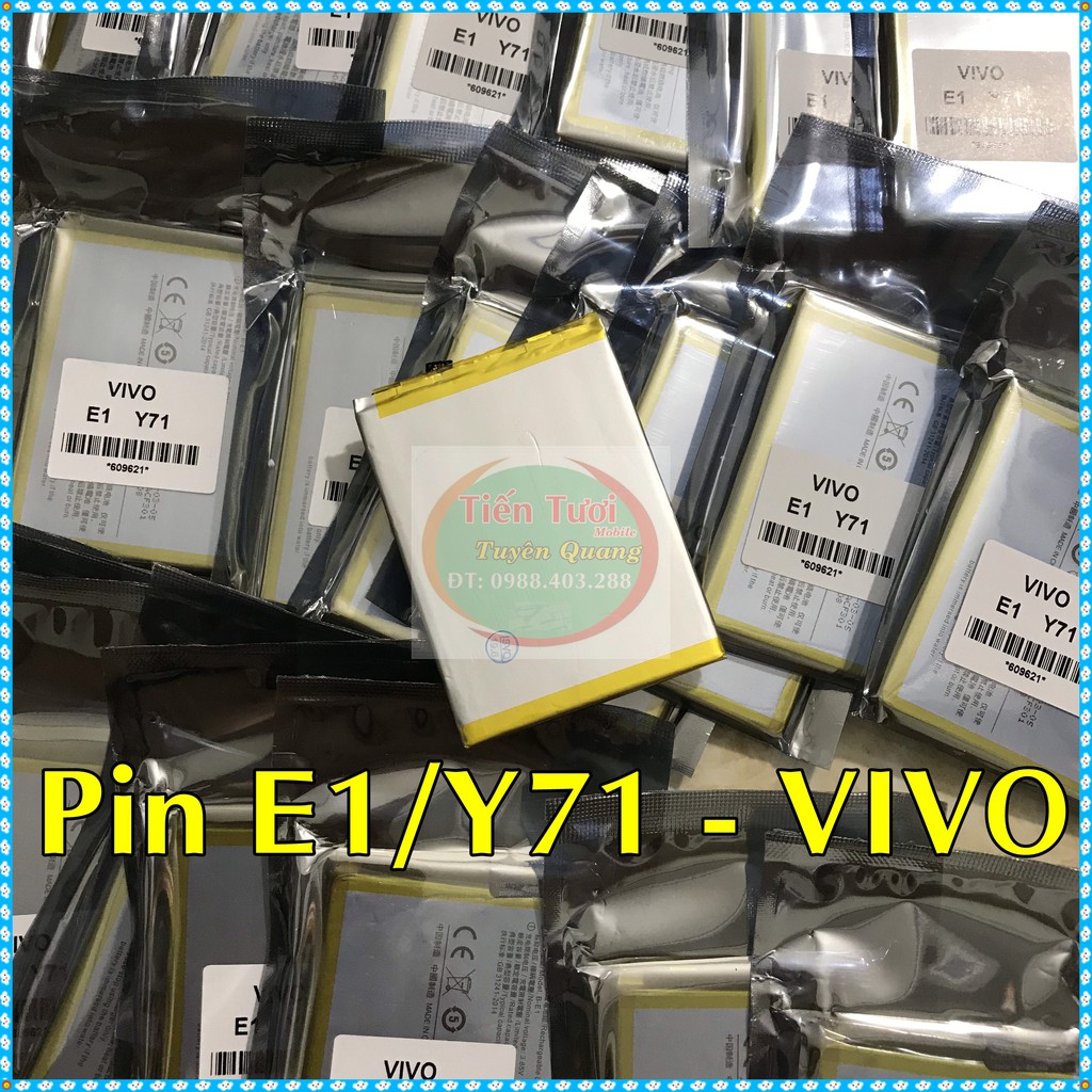 Pin B-E1/Y71 VIVO