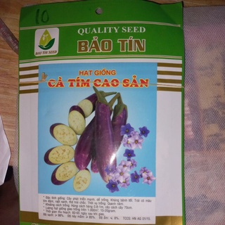Hạt giống cà tím cao sản