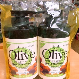 Cặp Gội xã olive