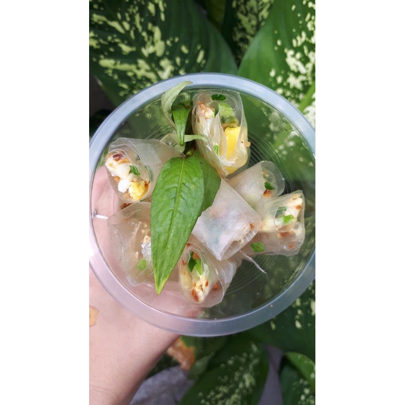 [Mã 77FMCGSALE1 giảm 10% đơn 250K] (Có quà!) 1kg bánh tráng phơi sương đặc sản Tây Ninh tặng hủ muối ngon ! | BigBuy360 - bigbuy360.vn