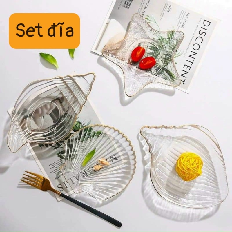 Set 4 đĩa thủy tinh ngao sò ốc hến