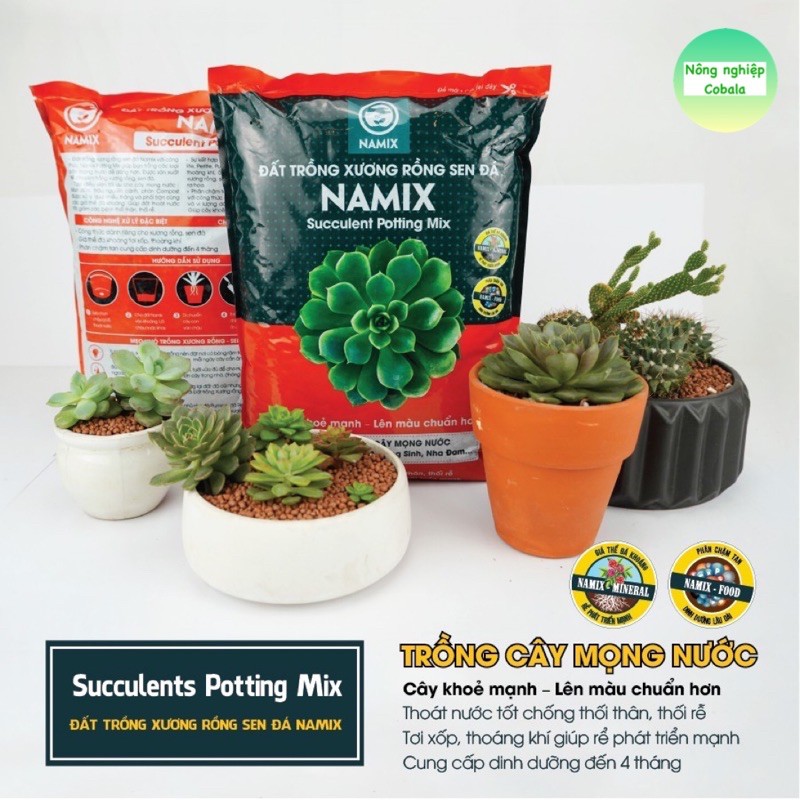 Đất Trồng Sen Đá Cao Cấp NAMIX (Gói 5dm)