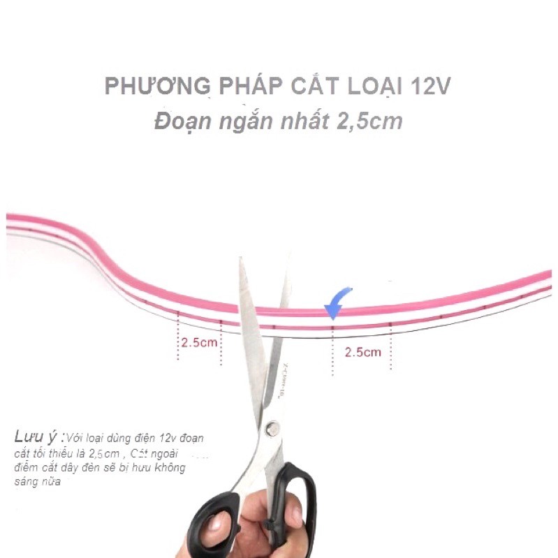 Led Neon đủ các màu ,Led uống theo tên ,Led 12 v