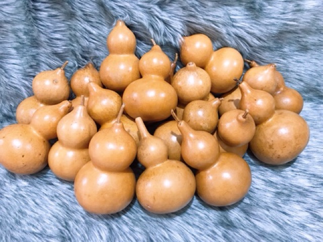 Bầu hồ lô khô tự nhiên | BigBuy360 - bigbuy360.vn