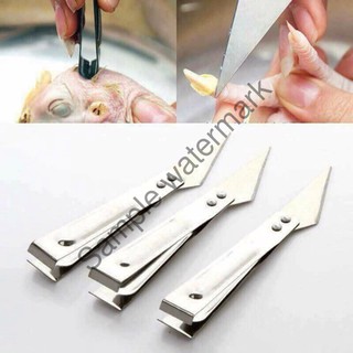Nhíp dao 2.1 nhổ lông gà, vịt