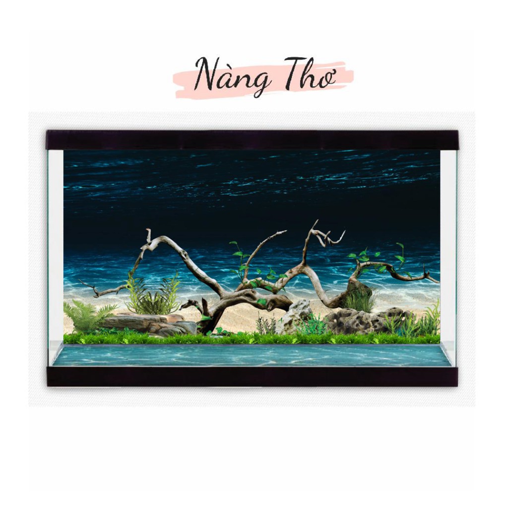 DECAL HỒ CÁ CÂY THUỶ SINH 3D_THIẾT KẾ NÀNG THƠ