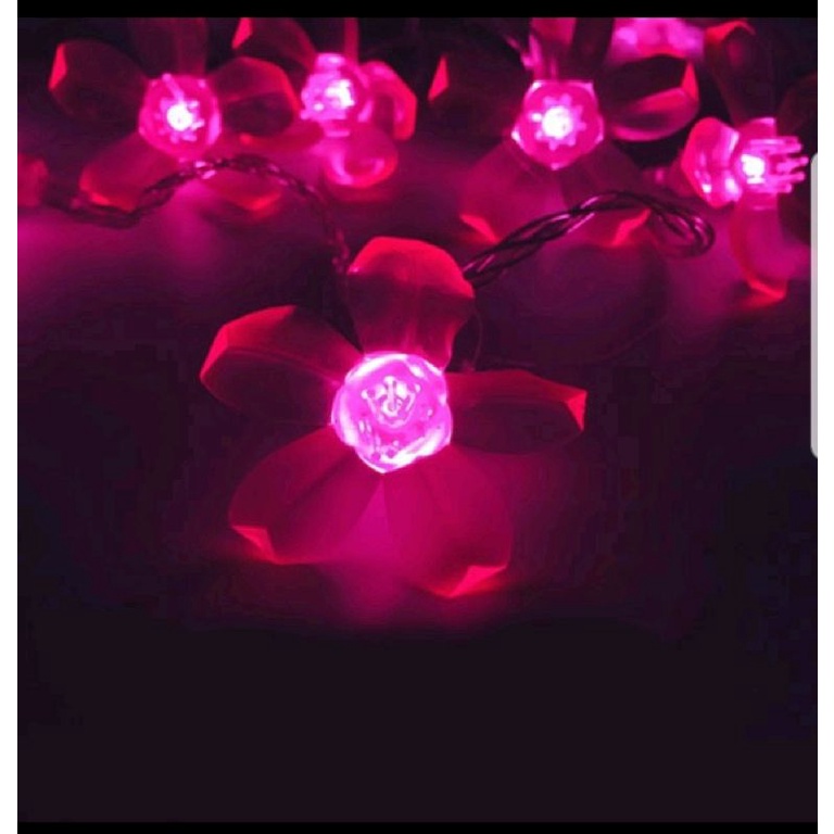 Dây Đèn Led Hoa Mai Hoa Đào Trang Trí Lễ, Tết ,Party, cây kiển siêu xinh